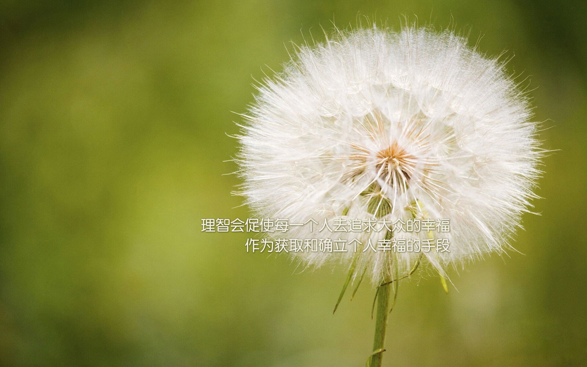 淬火红土与熔金伦敦，解读兹维列夫的两种胜利