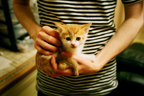 冰与火的夜，静与动的碑