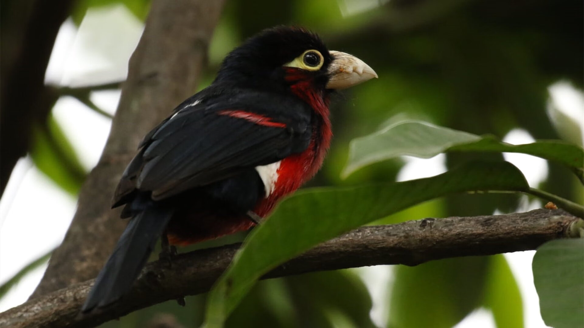 惊魂逆转，废墟之光，易建联惊艳四座助快船绝处逢生