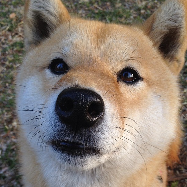 从NBA总决赛到世界之巅,热火战术DNA如何在2026世界杯孕育新王