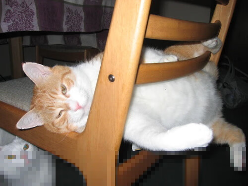 热浪席卷布鲁克林,乔治化身节奏大师