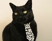 篮球版图的震动,文班亚马的巴黎爆发与上海队如何提前锁定印第安纳败局