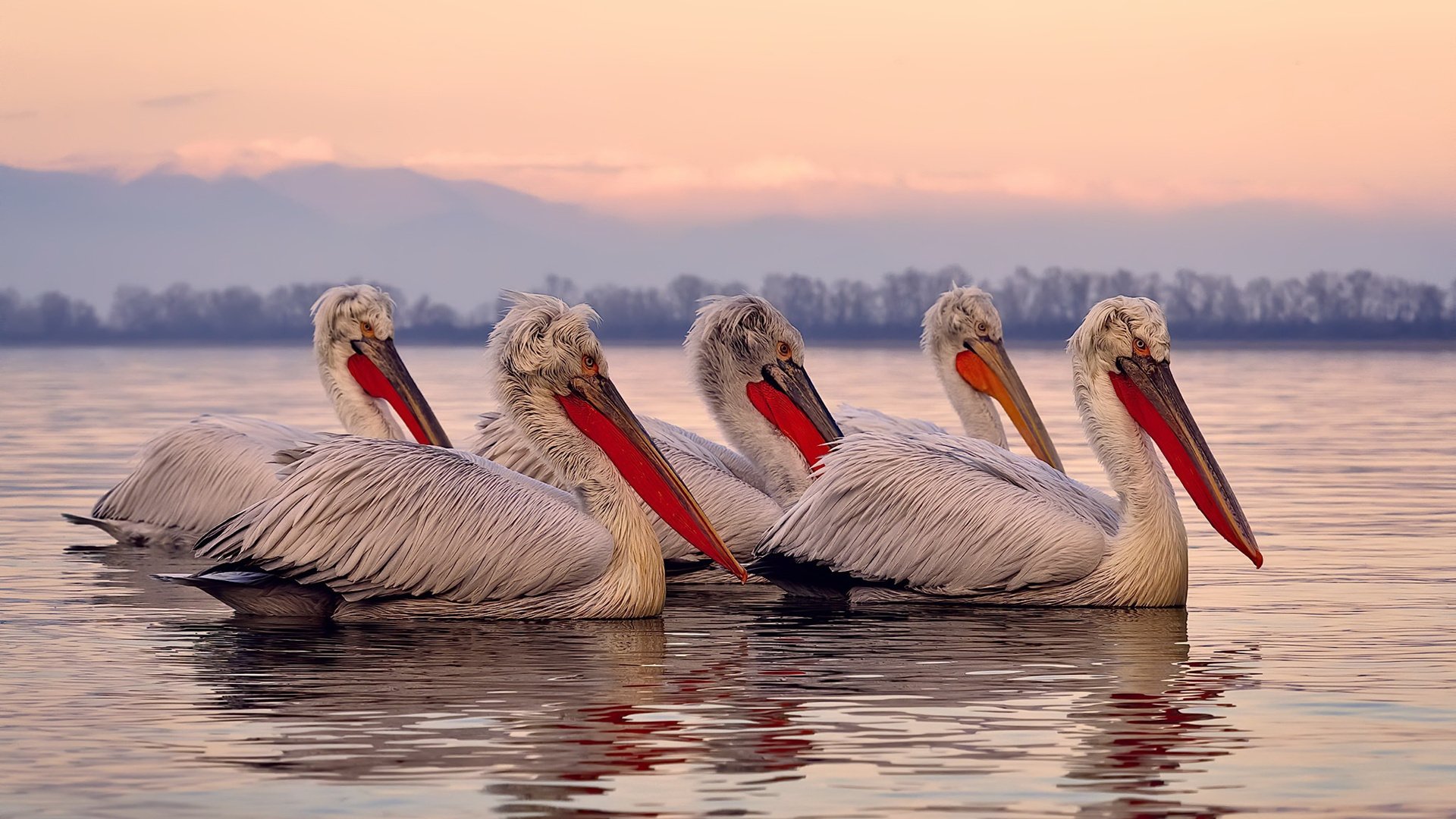 阿尔瓦雷斯爆发点燃赛场，冰岛强势晋级令乌克兰黯然
