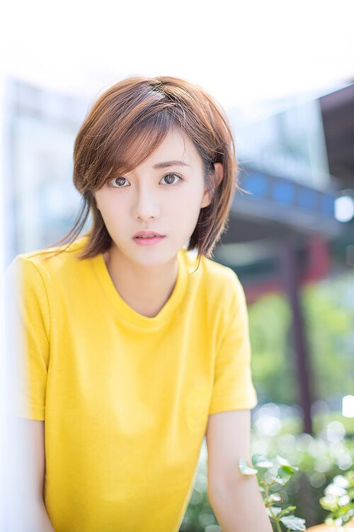 绿茵篮网皆战场，竞技精神的永恒交响