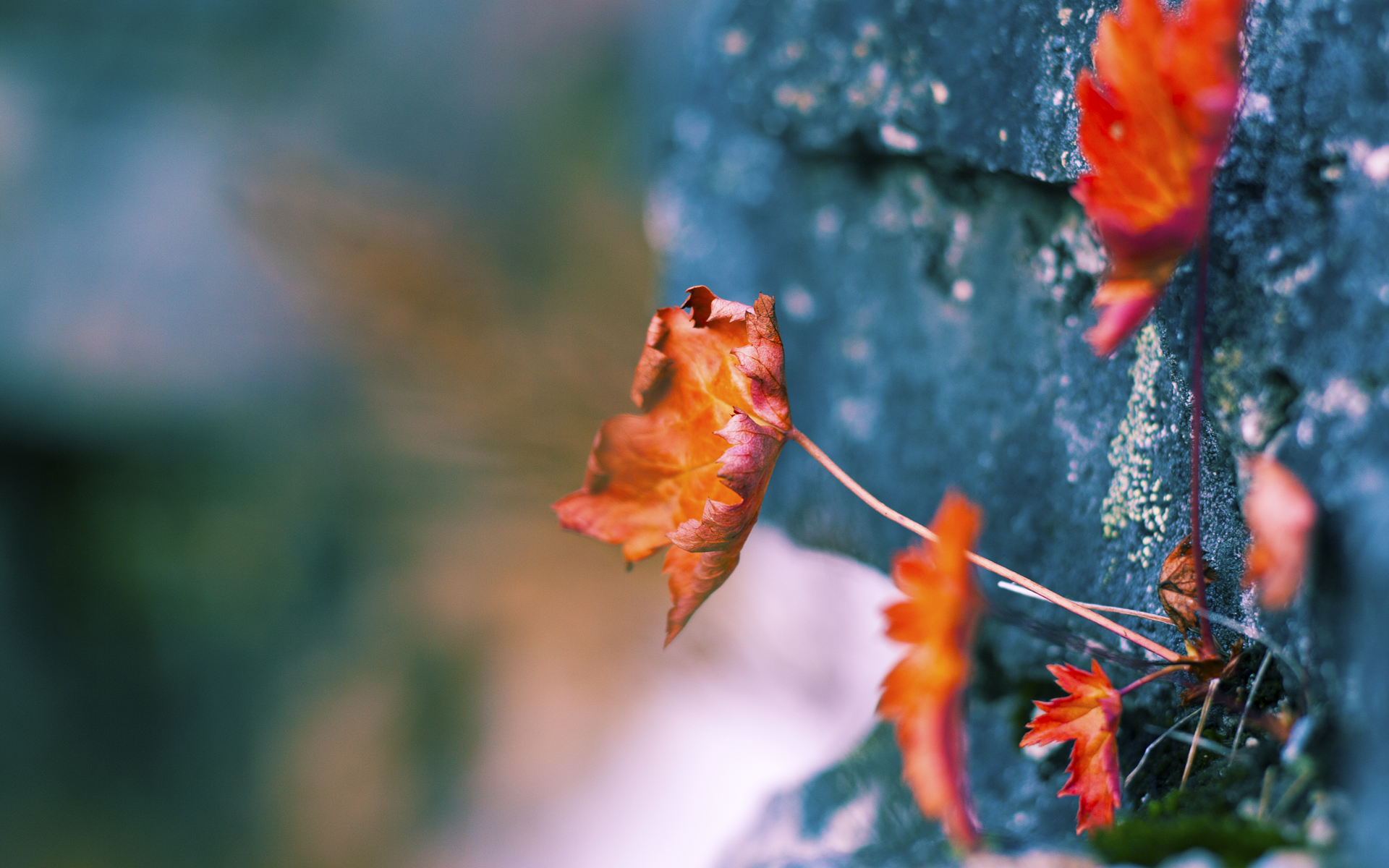 当数据预言颠覆传统，德国爆冷AC米兰，阿尔瓦雷斯如何用算法思维改写绿茵规则