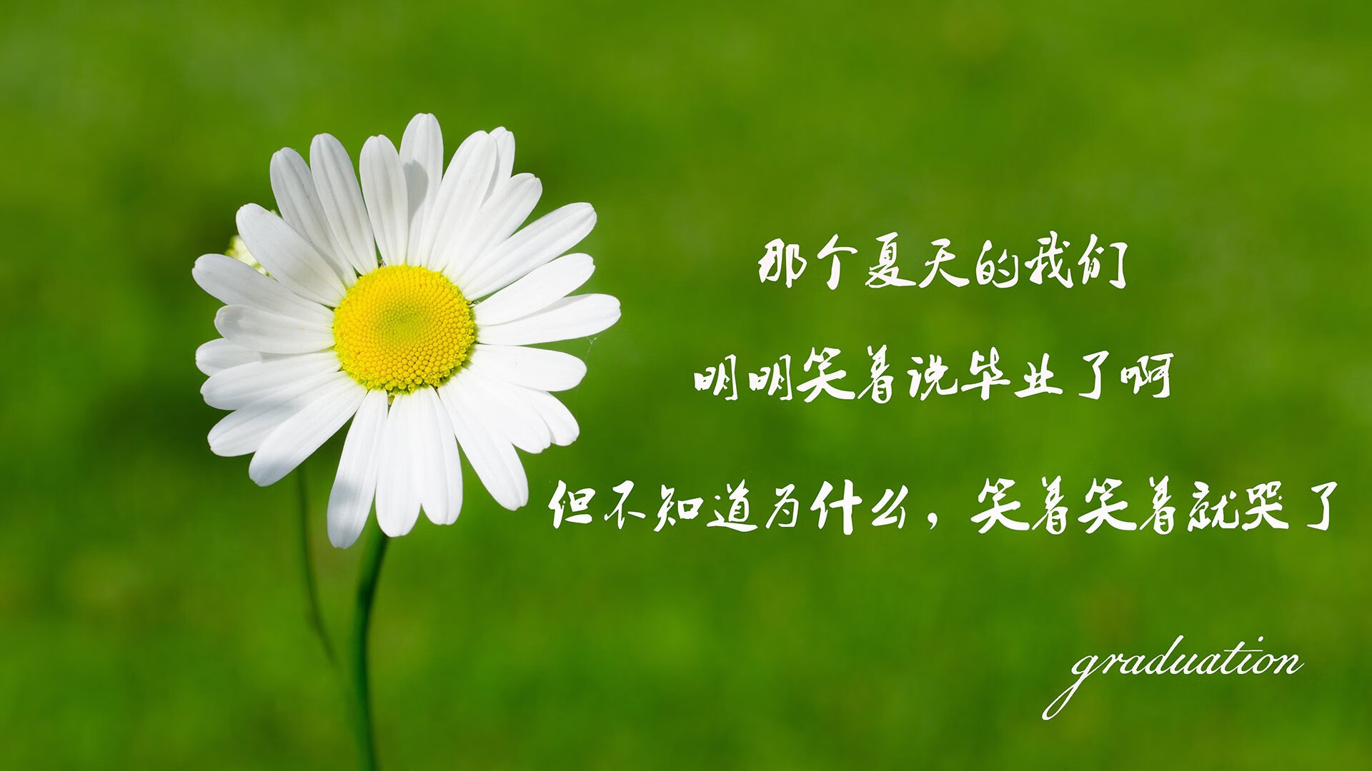 北境之光，美加墨世界杯焦点战中的拉什福德时刻—当枫叶旗与童话王国在绿茵场上碰撞